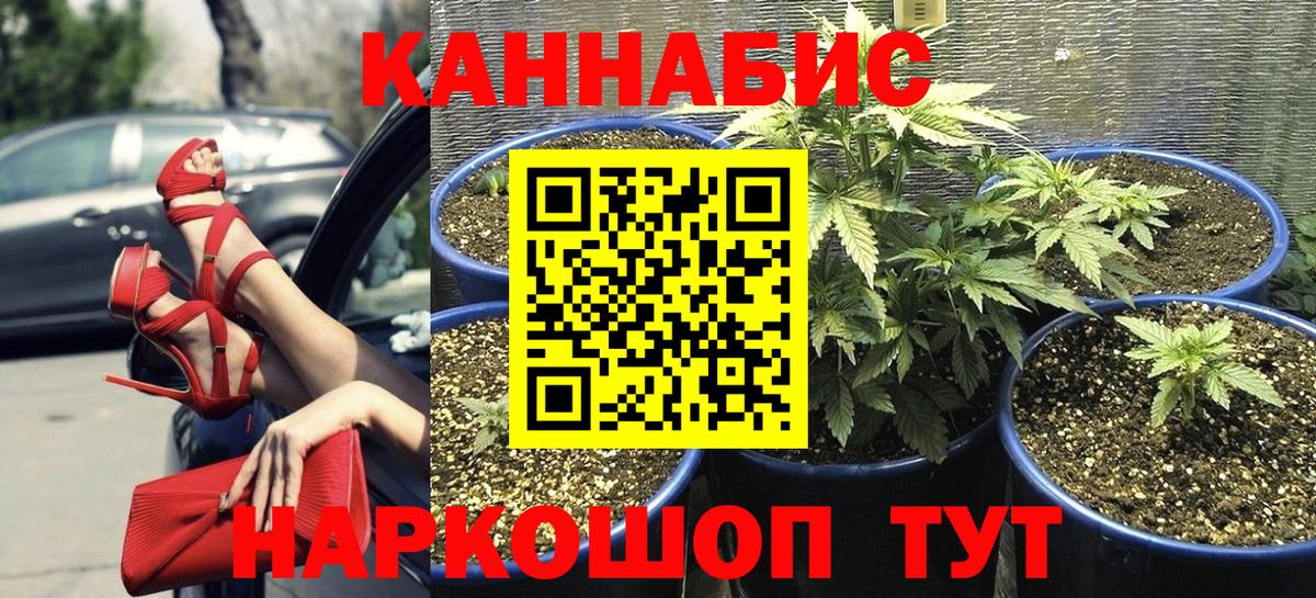 Канабис сатива  МАРИХУАНА гибрид  Краснодар  Марихуана планчик  Вход с VPN  Конопля SATIVA & INDICA 